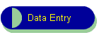 Data Entry